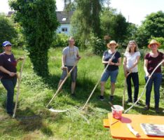 Sensenkurs im ev. Pfarrgarten Leimen: </br>Vier Damen erlernten die traditionelle Mähweise