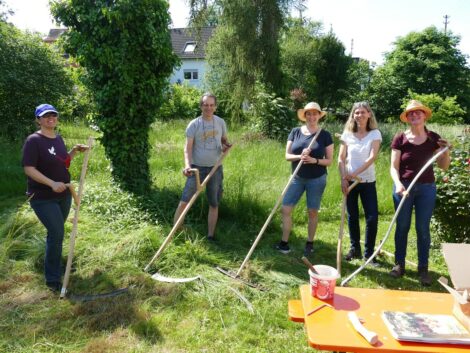 Sensenkurs im Pfarrgarten Leimen: Tradition bewahren und Natur erleben