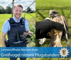 Polizei will retten und unterbricht nicht angemeldete Raubvogel-Flugstunden