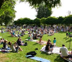 Fantastisches Picknickdecken-Konzert: Das großes Musikschulfinale im Menzerpark