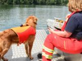 Gemeinsame Übung der Rettungshundeteams der DLRG Leimen und DLRG Hemsbach mit der Feuerwehr Brühl