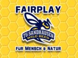 Spenden Sie eine Minute und die Sandhäuser Wildbees können 7000€ gewinnen