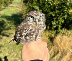 Zählen, messen, kontrollieren: Ergebnisse der Zoo-Inventur stehen fest