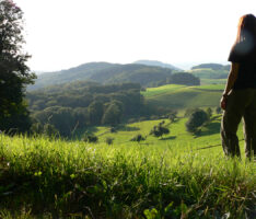 Leimen „entdeckt“ den Naturpark Neckartal-Odenwald und seine Vielfalt 