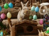 Osterfreude im Zoo: Wenn Küken, Kaninchen und Störche den Frühling einläuten