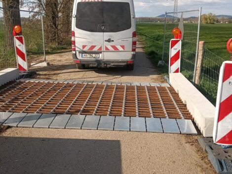 Viehgitter im Einsatz: Neue Barrieren gegen die Afrikanische Schweinepest