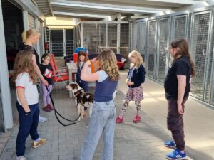 Kinder üben im Tierheim gemeinsam mit einem Hund Klickertraining