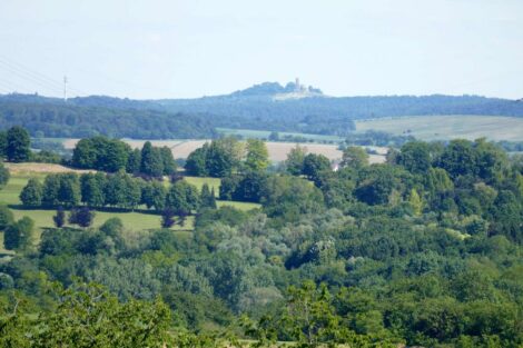 Rhein-Neckar per Rad: Touren mit Geschichte, Anstiegen und Aussichten