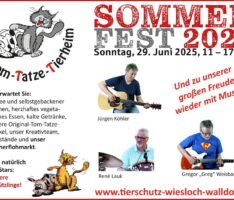 Ein Fest für Zwei- und Vierbeiner: Tom-Tatze-Tierheim lädt zum Sommerfest