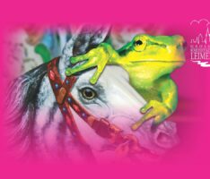 Diljemer Kerwe voraus! Party-Wochenende mit Umzug, FATE, Uwe Janssen und Showtime