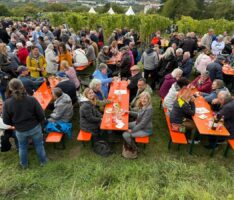 Das Müllersche Weinbergfest brachte die Weinseligkeit nach Leimen zurück