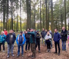 Waldbegehung des Leimener Gemeinderats – Bäume-Vollernter „Harvester“ in Aktion