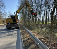 Gehölzschnitt im Rhein-Neckar-Kreis: Verkehrssicherheit und Naturschutz im Gleichgewicht