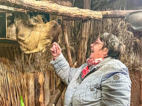 Faultier statt Socken zu Weihnachten: </br>Mit einer Tierpatenschaft Freude schenken