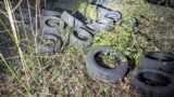 Umweltstraftat am Tauschackerweg –</br>35 Autoreifen im Wald „entsorgt“