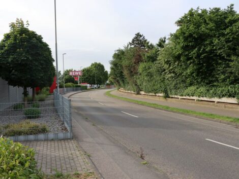 Sandhausen: Grünschnitt in der Hauptstraße und Totholz-Entfernung