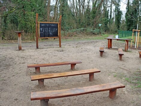 Unterricht im Grünen: Sandhäuser THGS eröffnet Waldklassenzimmer