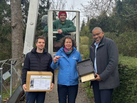 Für die „Jäger der Nacht“: Fledermauskästen auf dem Leimener Friedhof installiert