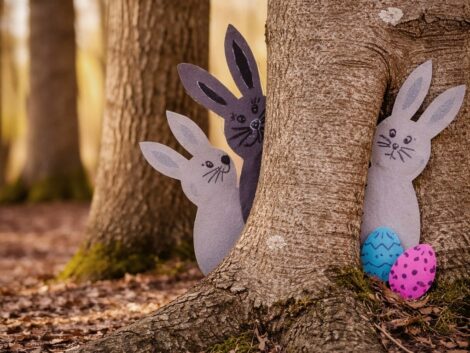 Wer entdeckt auf dem Wichtelpfad die Hasenohren im Unterholz?