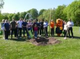 Schatten für die Zukunft: Fünf neue Klimabäume für den Bäderpark Leimen