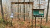 Vom Wanderpfad zum Mountainbike-Trail: So entstand der Maulwurf-Trail Spechbach