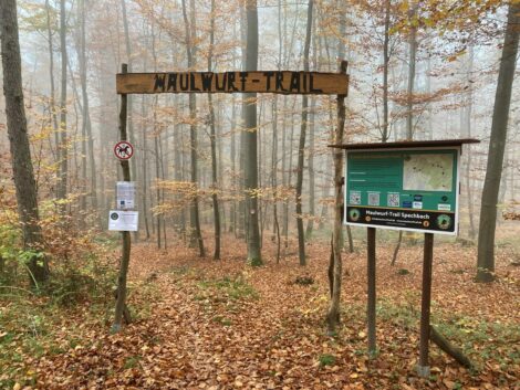 Vom Wanderpfad zum Mountainbike-Trail: So entstand der Maulwurf-Trail Spechbach