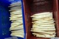Handarbeit auf dem Feld, frischer Spargel im Hof: Saisonstart beim Spargelhof Kölner