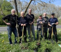 Baumpflanzaktion des Obst-, Wein- und Gartenbauvereins in der Wildobstanlage