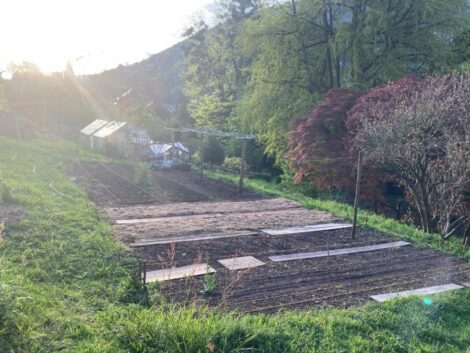 Praxisworkshops – Anmeldung notwendig: <br>So wird der Garten nützlich und naturnah