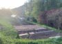 Praxisworkshops – Anmeldung notwendig: So wird der Garten nützlich und naturnah
