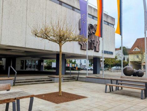 Fahrradständer und Schattenbaum: Platane auf Sanhäuser Rathausvorplatz gepflanzt