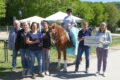 50 Jahre Reitsportverein Leimen 1976 e.V. – Zweitägiges gelungenes Geburtstagsfest