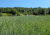 Zwischen Weinreben und Wald: Ein Spaziergang von Leimen nach Rohrbach
