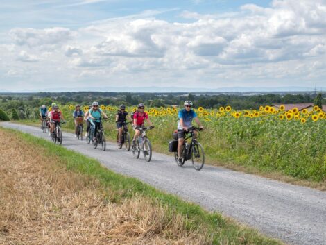 RadGuides Rhein-Neckar: Touren im Juni führen durch Natur, Geschichte und Weinberge