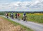 RadGuides Rhein-Neckar: Touren im Juni führen durch Natur, Geschichte und Weinberge