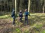 Wälder im Landkreis: Weichen für die nächsten zehn Jahre gestellt
