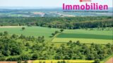 Mietpreise in Leimen 2026: So entwickelt sich der Wohnungsmarkt