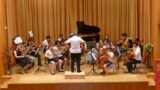 Klassik auf hohem Niveau beim Orchesterkonzert der Musikschule Leimen