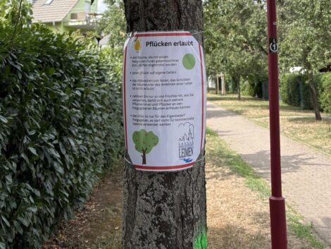 Aktion „Pflücken erlaubt“: <br>Stadt Leimen lädt zur Obsternte ein