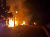 Brandstiftung zerstört Geräteschuppen des Tennisclubs Gauangelloch – „GoFundMe“ läuft
