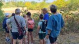 Unser Wald kann zaubern! <br>Ferienprogramm des Stadtteilvereins St. Ilgen