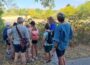 Unser Wald kann zaubern! <br>Ferienprogramm des Stadtteilvereins St. Ilgen