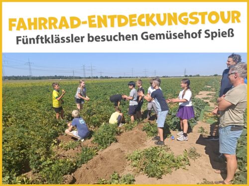 Mit dem Fahrrad auf Entdeckungstour: 5. Klässler besuchten den Gemüsehof Spieß