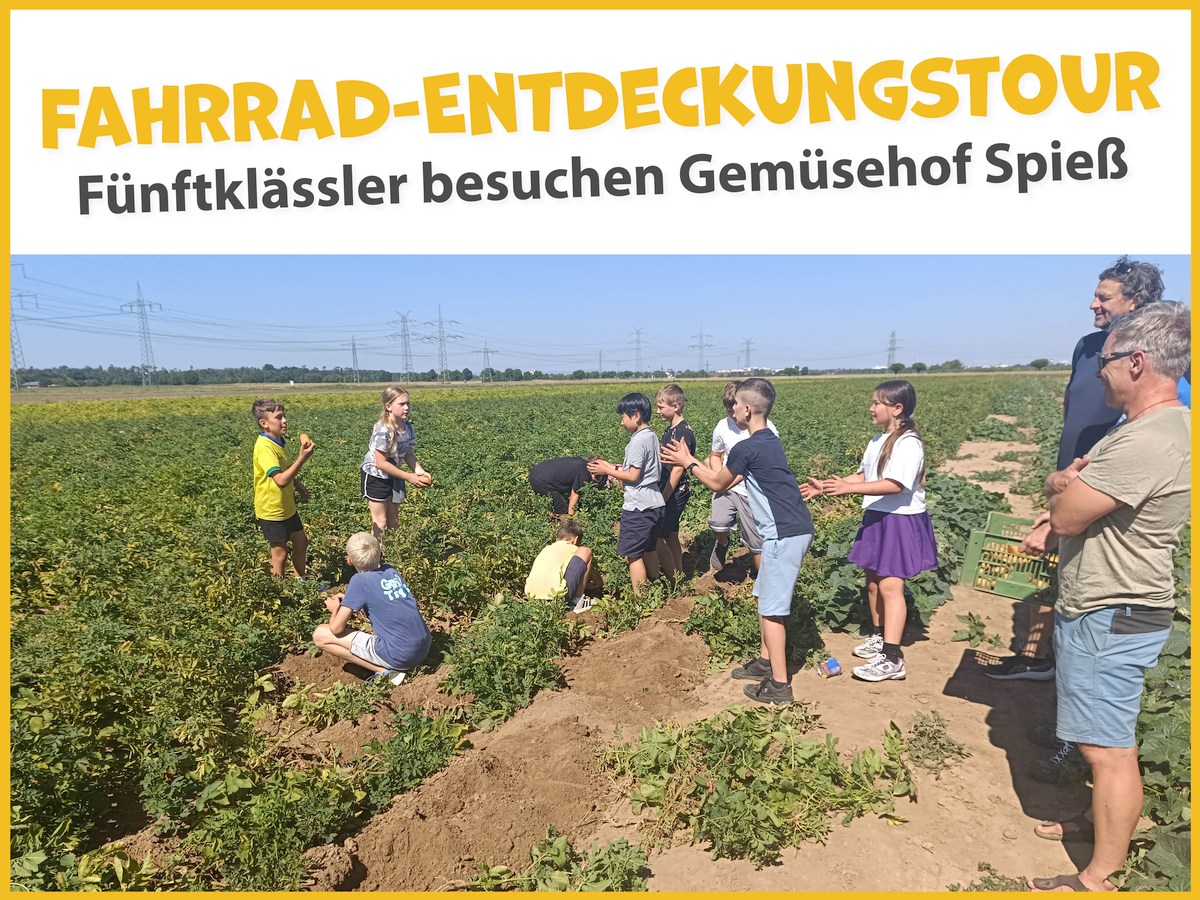 Mit dem Fahrrad auf Entdeckungstour: 5. Klässler besuchten den Gemüsehof Spieß