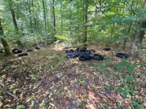 Illegale Müllentsorgung: Rund 40 Altreifen im Lingentaler Wald abgelagert