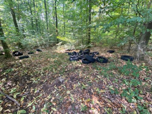 Illegale Müllentsorgung: Rund 40 Altreifen im Lingentaler Wald abgelagert