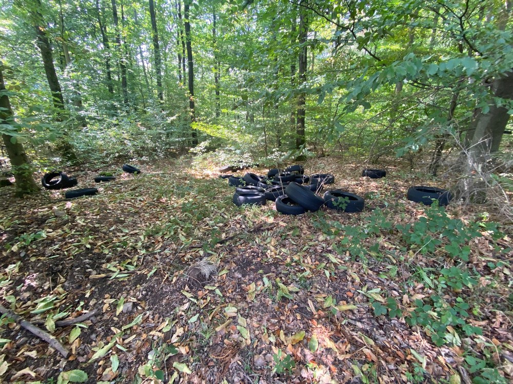 Illegale Müllentsorgung: Rund 40 Altreifen im Lingentaler Wald abgelagert