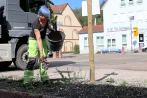 Mitarbeiterin oder Mitarbeiter der Stadtgärtnerei streut Saatgut auf einer vorbereiteten Grünfläche aus