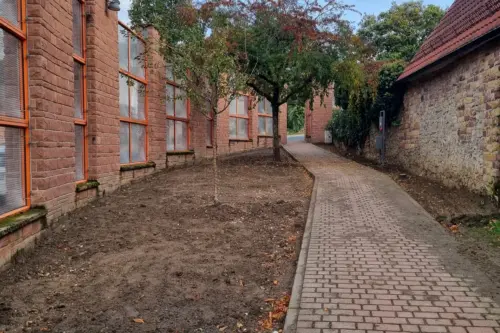 Gepflasterter Durchweg an der Bürgermeister-Lingg-Straße mit vorbereiteter Erdfläche und jungen Bäumen
